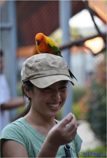 清迈的夜间动物园 Chiangmai Night Safari